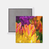 チューリップエンチャント16 マグネット (正面/裏面)