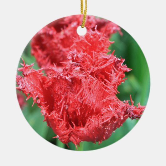 チューリップオーナメント セラミックオーナメント (正面)