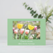 チューリップカラフルギフト券 (スタンド正面)