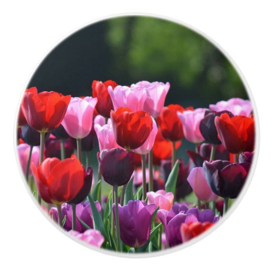 チューリップカラフルドレスサーノブ セラミックノブ (正面)