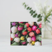 チューリップカラフルフラワーズイースター春 ポストカード (スタンド正面)