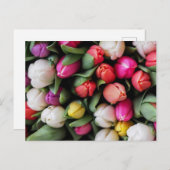 チューリップカラフルフラワーズイースター春 ポストカード (正面/裏面)