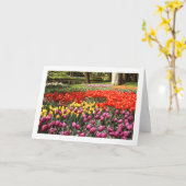 チューリップガロール折り空白の返しグリーティングカード カード (黄色い花)