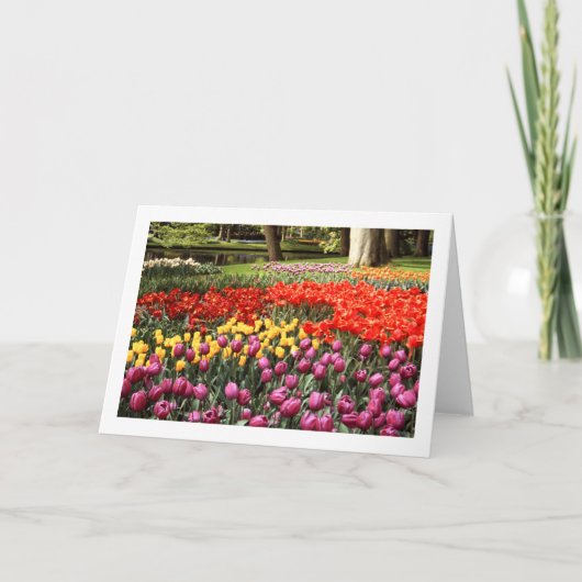 チューリップガロール折り空白の返しグリーティングカード カード (正面)