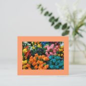 チューリップガロール ポストカード (スタンド正面)