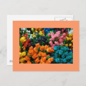 チューリップガロール ポストカード (正面/裏面)