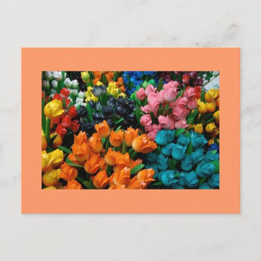 チューリップガロール ポストカード (正面)