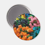 チューリップガロール マグネット (正面/裏面)