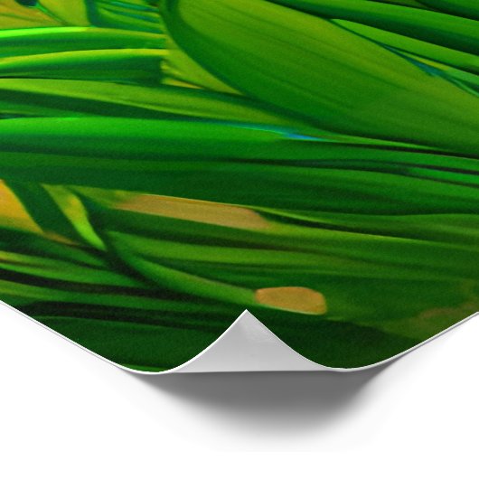 チューリップガーデンに住む小さな黒猫 ポスター (角)