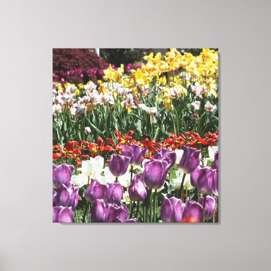 チューリップガーデンキャンバスプリントプリント キャンバスプリント (正面)