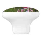 チューリップガーデンセラミックノブ セラミックノブ (側面)