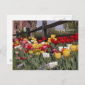 チューリップガーデンハッピーイースター シーズンポストカード (正面/裏面)