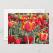 チューリップガーデンハッピーイースター シーズンポストカード (正面/裏面)