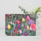 チューリップガーデンフラットホリデーカード シーズンカード (スタンド正面)