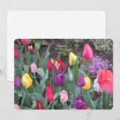 チューリップガーデンフラットホリデーカード シーズンカード (正面/裏面)