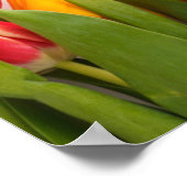 チューリップガーデンポスター ポスター (角)