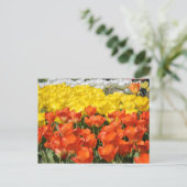 チューリップガーデン ポストカード (スタンド正面)