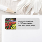 チューリップガーデン ラベル (インサイチュ)