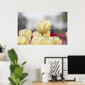 チューリップキャンバス ポスター (ホームオフィス)