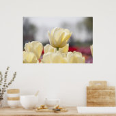 チューリップキャンバス ポスター (キッチン)