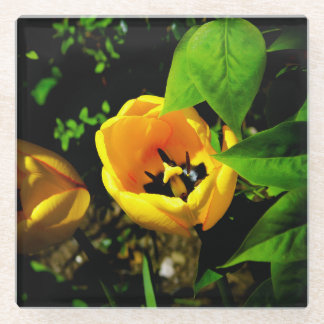 チューリップグラスのコースター ガラスコースター