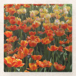 チューリップグラスコースター ガラスコースター