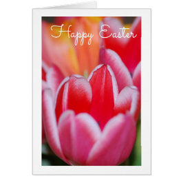チューリップグリーティングカード
