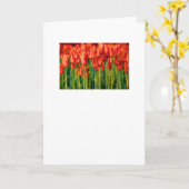 チューリップグリーティングカード カード (黄色い花)