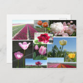 チューリップコラージュDIYポストカード ポストカード (正面/裏面)
