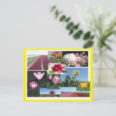 チューリップコラージュDIY & Cust.色縁どはがき シーズンポストカード (スタンド正面)