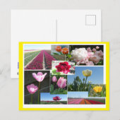 チューリップコラージュDIY & Cust.色縁どはがき シーズンポストカード (正面/裏面)