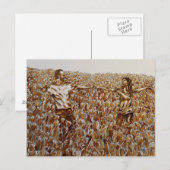 チューリップコーヒー&インクスケッチ葉書のフィールド ポストカード (正面/裏面)