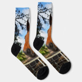 チューリップザブラウンホース、クルーソックス ソックス (右)