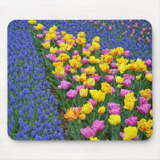 チューリップスとブルーベルの花園 マウスパッド (正面)