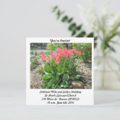 チューリップス結婚式招待状 招待状 (スタンド正面)