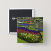 チューリップス、ブドウヒヤシンス、水仙 缶バッジ (正面&裏面)