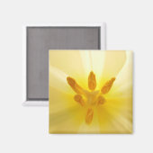 チューリップセンター マグネット (正面/裏面)