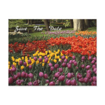 チューリップセーブ・ザ・デート案内はがき