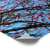 チューリップツリーイン開花 ポスター (角)