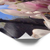 チューリップツリー花 ポスター (コーナー)