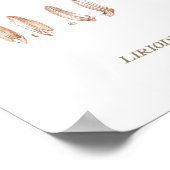 チューリップツリー ポスター (角)