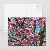 チューリップツリー ポストカード (正面/裏面)