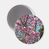 チューリップツリー マグネット (正面/裏面)