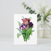 チューリップバイピエールジョセフレドゥート ポストカード (スタンド正面)