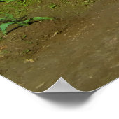 チューリップフィールドのトラクター ポスター (角)