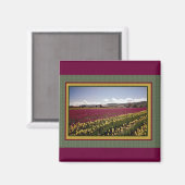 チューリップフィールド磁石 マグネット (正面/裏面)