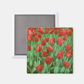 チューリップフィールド開花の春。 マグネット (正面/裏面)