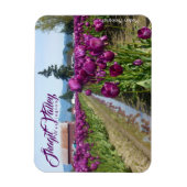 チューリップフィールド(紫)とバーン(Skagit Valley) マグネット (縦)