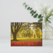 チューリップフェスティバルインオタワ ポストカード (スタンド正面)