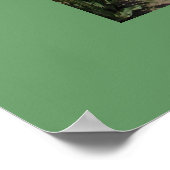 チューリップフェスティバルスカギットバレーチューリップフェスティバル ポスター (角)